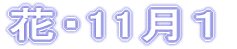 花・11月１