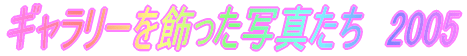 M[ʐ^@2005